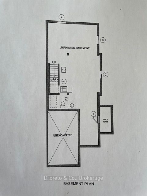38 Mccann Street Property Photo 21