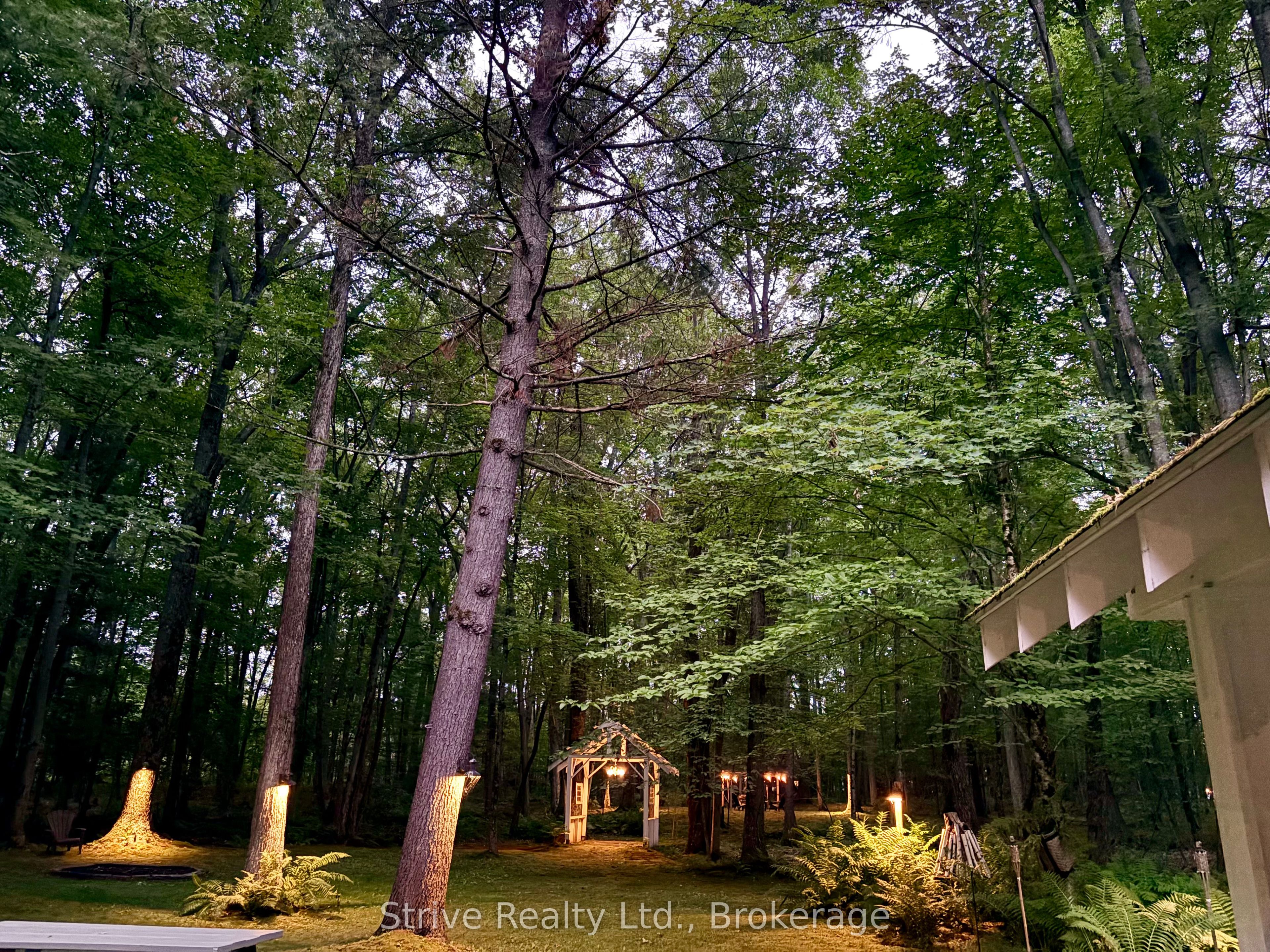 1035 George Road Property Photo 44