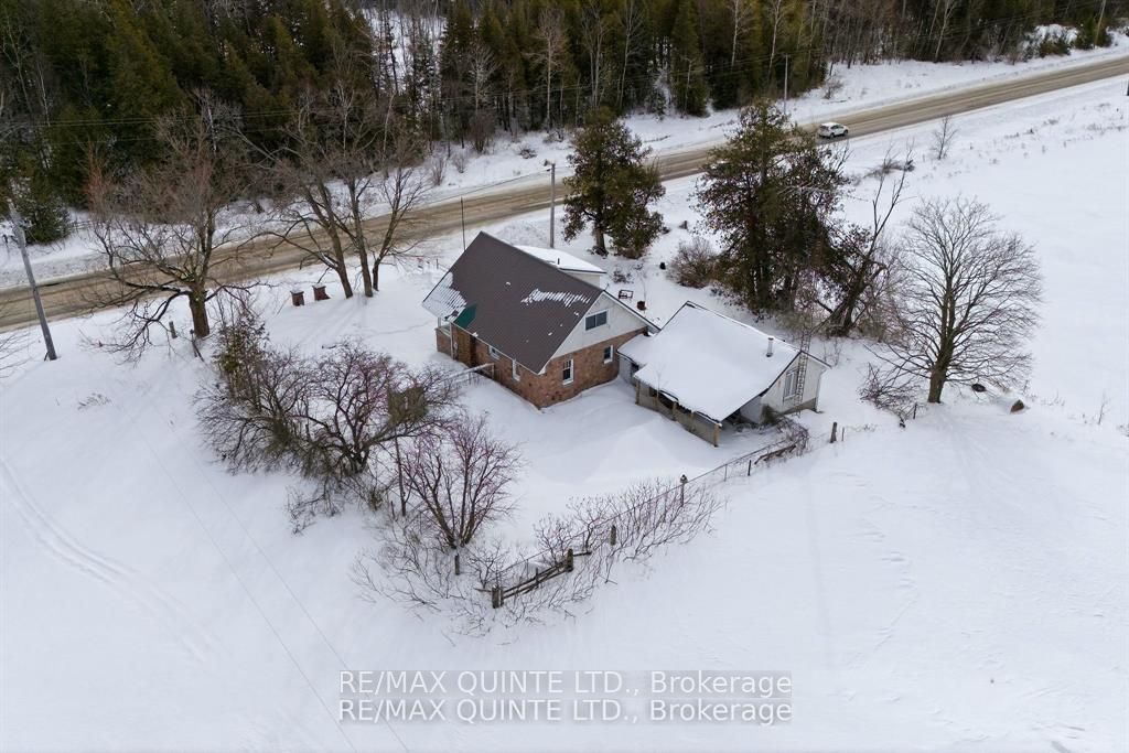 3810 Springbrook Road Property Photo 29