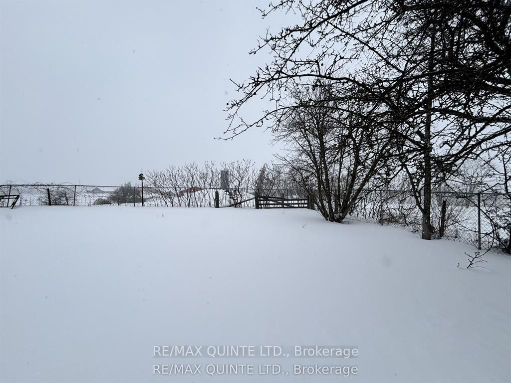 3810 Springbrook Road Property Photo 32