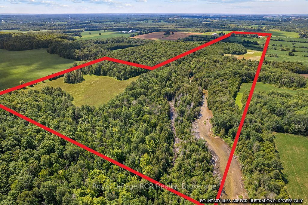 135347 8 Concession Property Photo 3