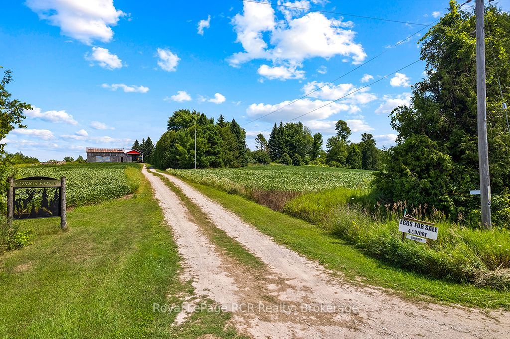 135347 8 Concession Property Photo 6