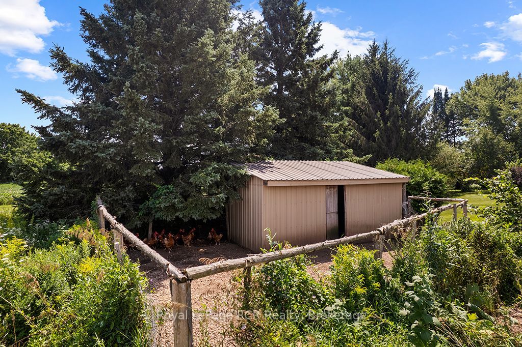 135347 8 Concession Property Photo 38
