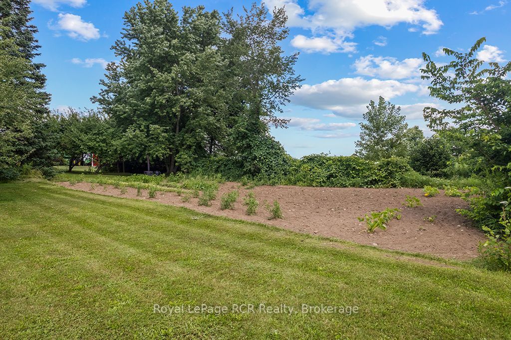 135347 8 Concession Property Photo 39