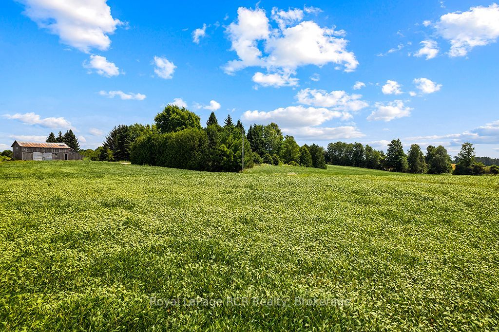 135347 8 Concession Property Photo 40