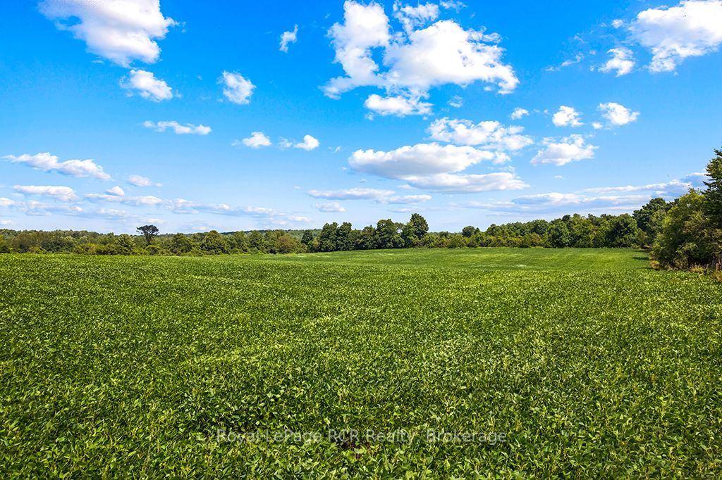 135347 8 Concession Property Photo 41