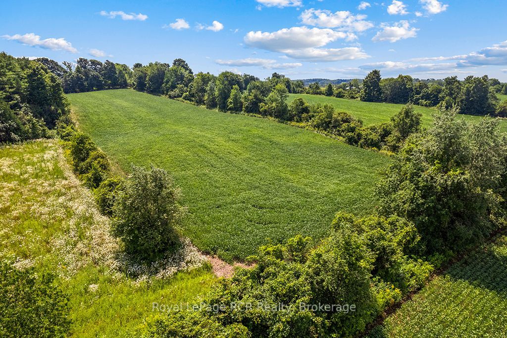 135347 8 Concession Property Photo 42