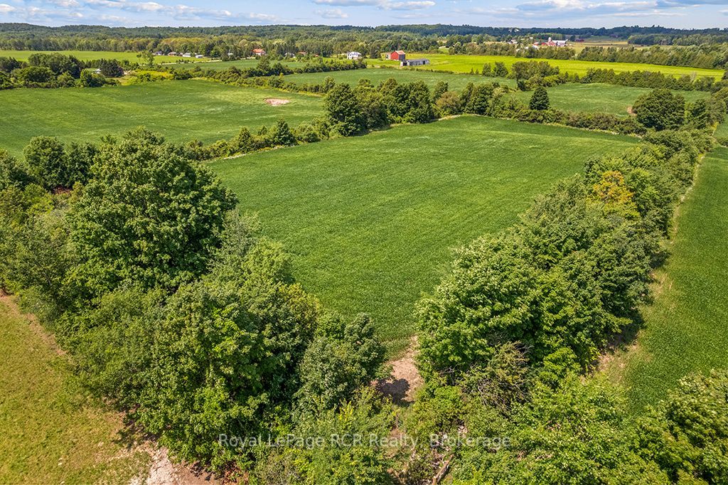 135347 8 Concession Property Photo 43