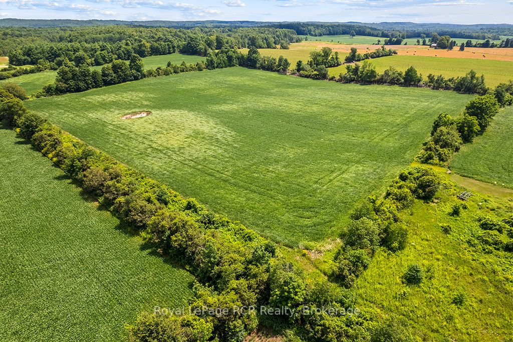 135347 8 Concession Property Photo 44