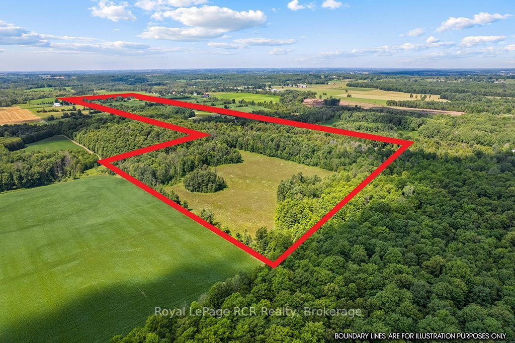 135347 8 Concession Property Photo 45