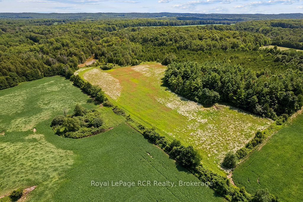 135347 8 Concession Property Photo 46