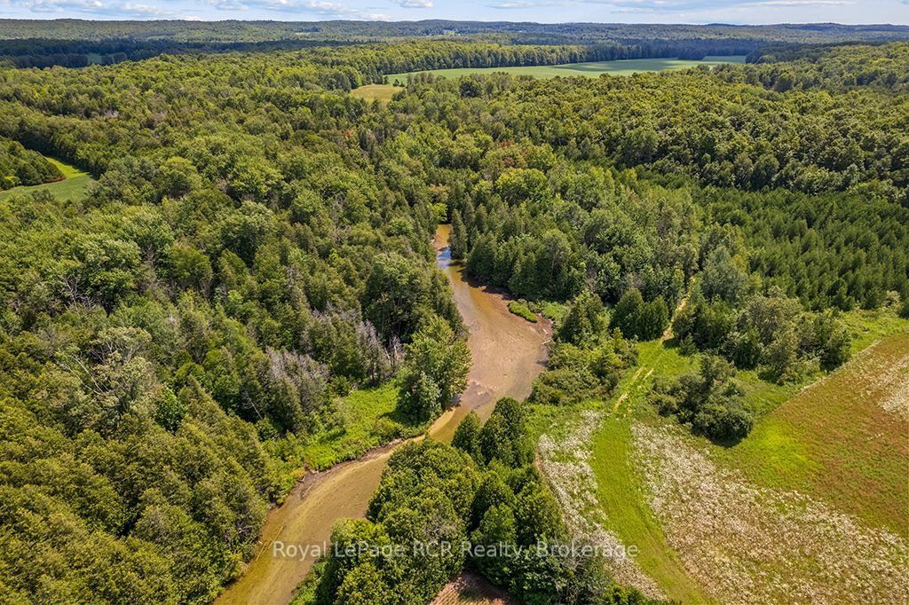 135347 8 Concession Property Photo 47