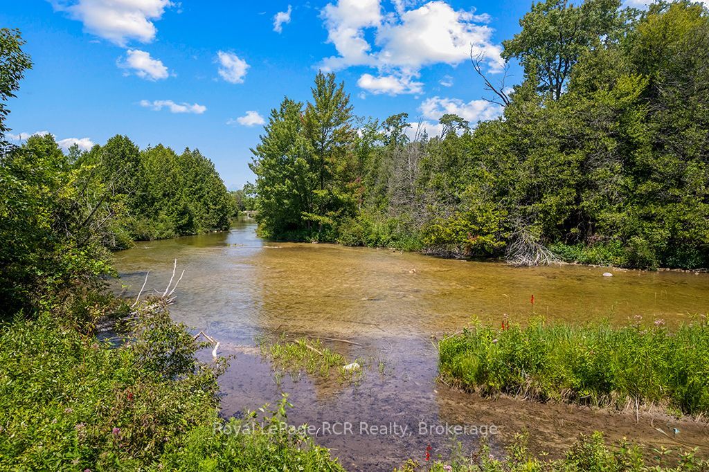 135347 8 Concession Property Photo 49