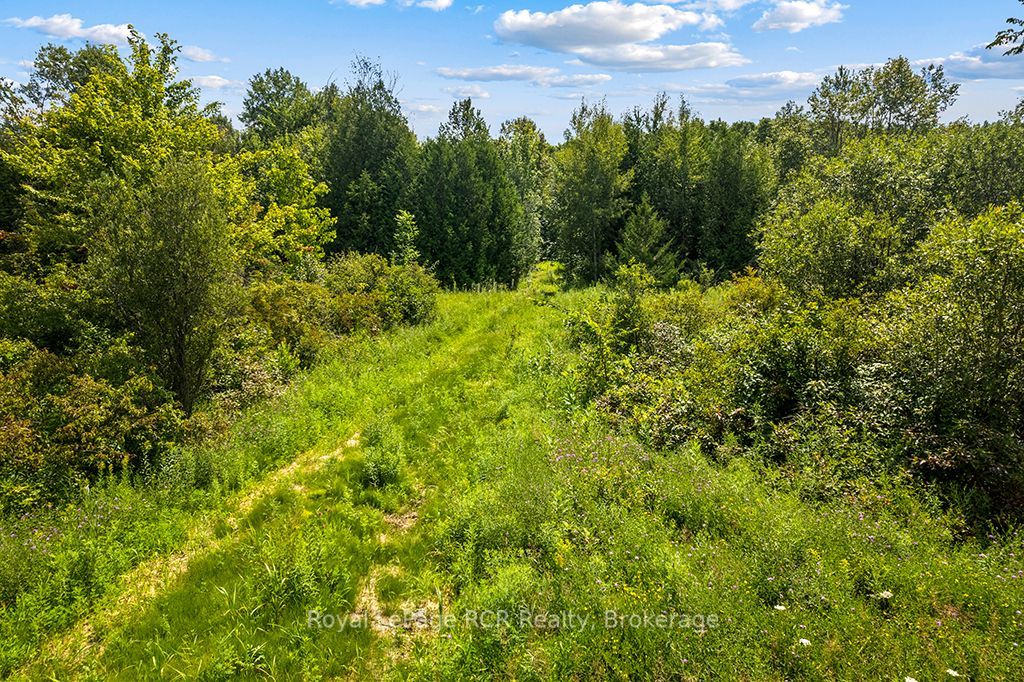 135347 8 Concession Property Photo 50