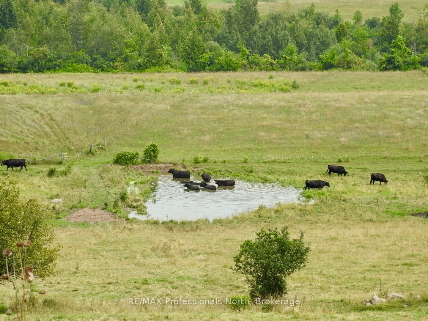 2017 Drummond Line Property Photo 37