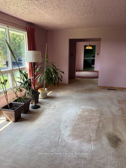 100 Moloney Line Property Photo 8