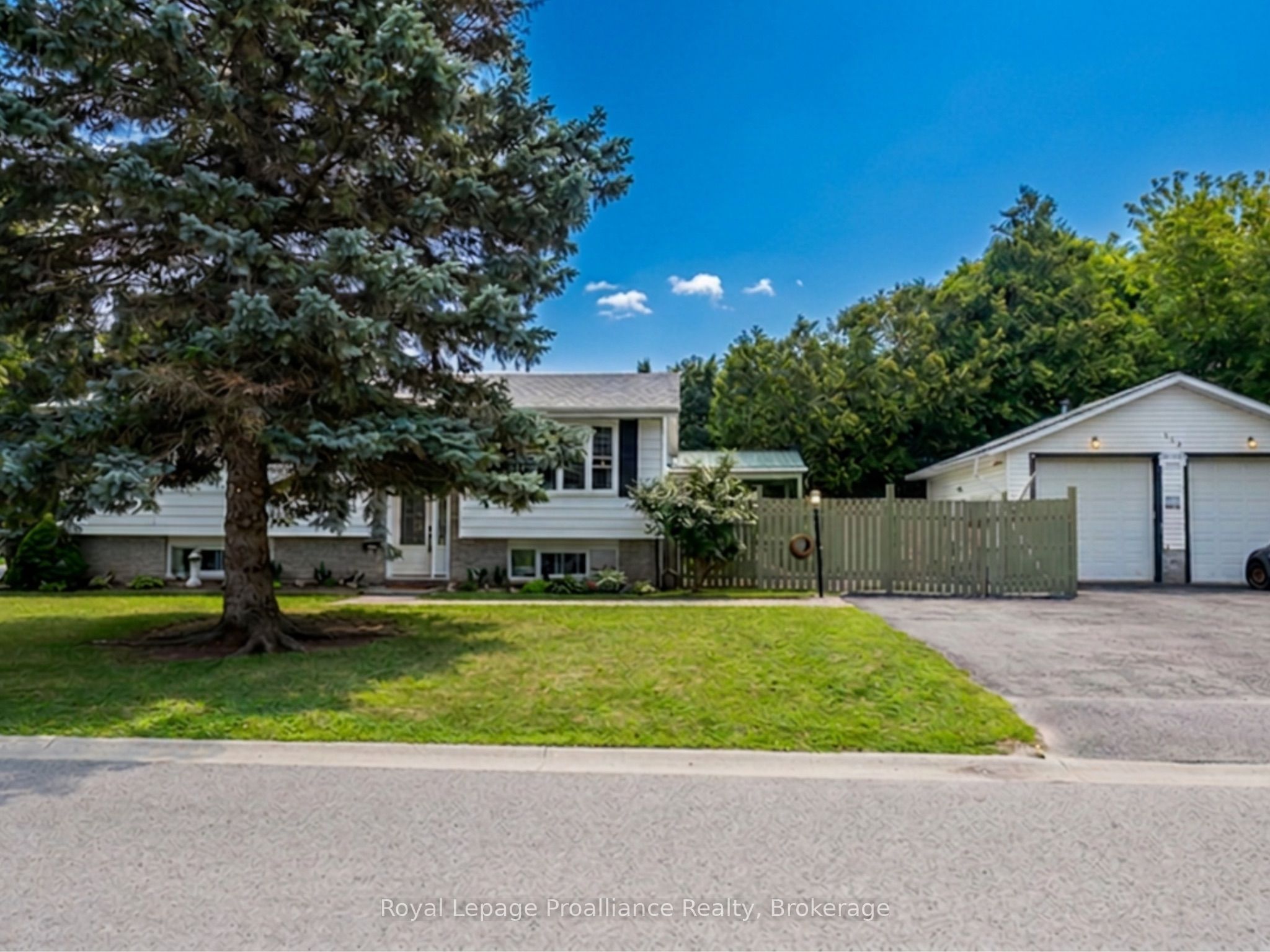 115 Nicholas Street Property Photo 28