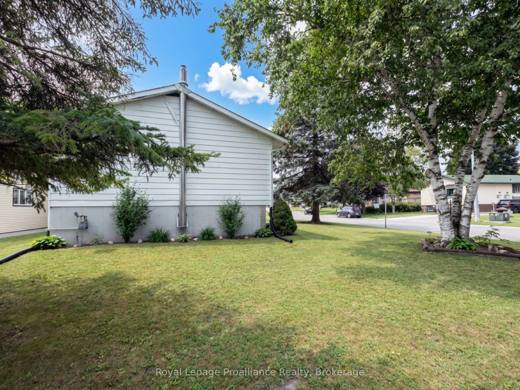115 Nicholas Street Property Photo 31