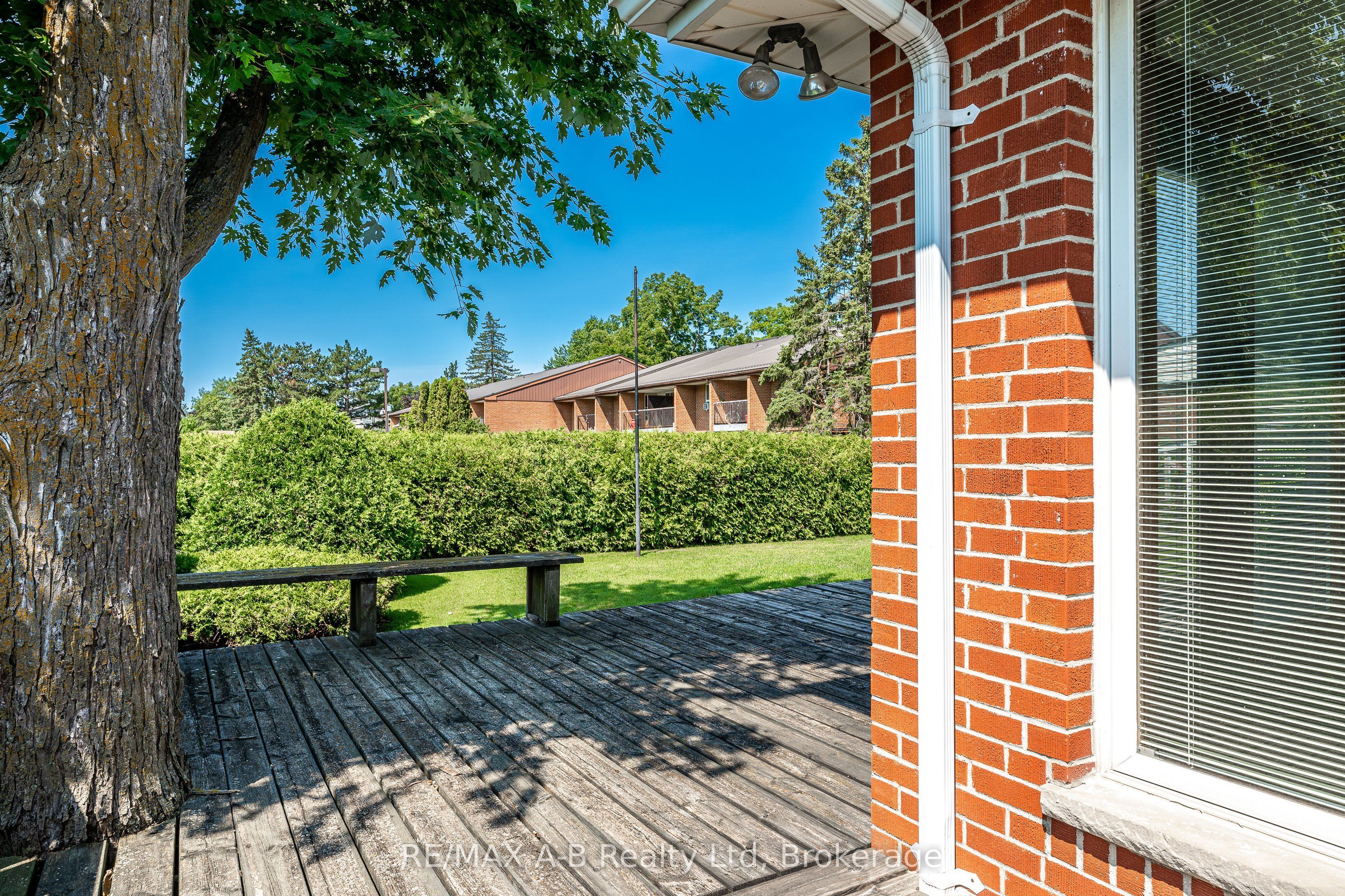 34 Warner Street Property Photo 37
