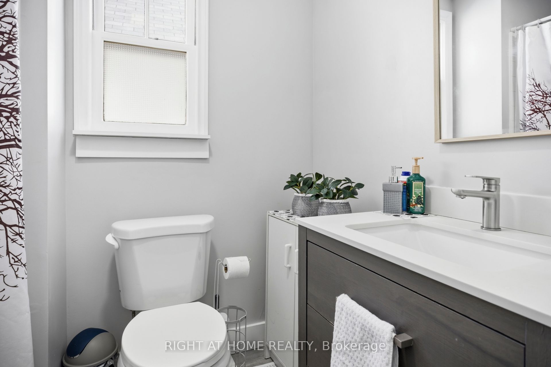 151 Hale Street Property Photo 9