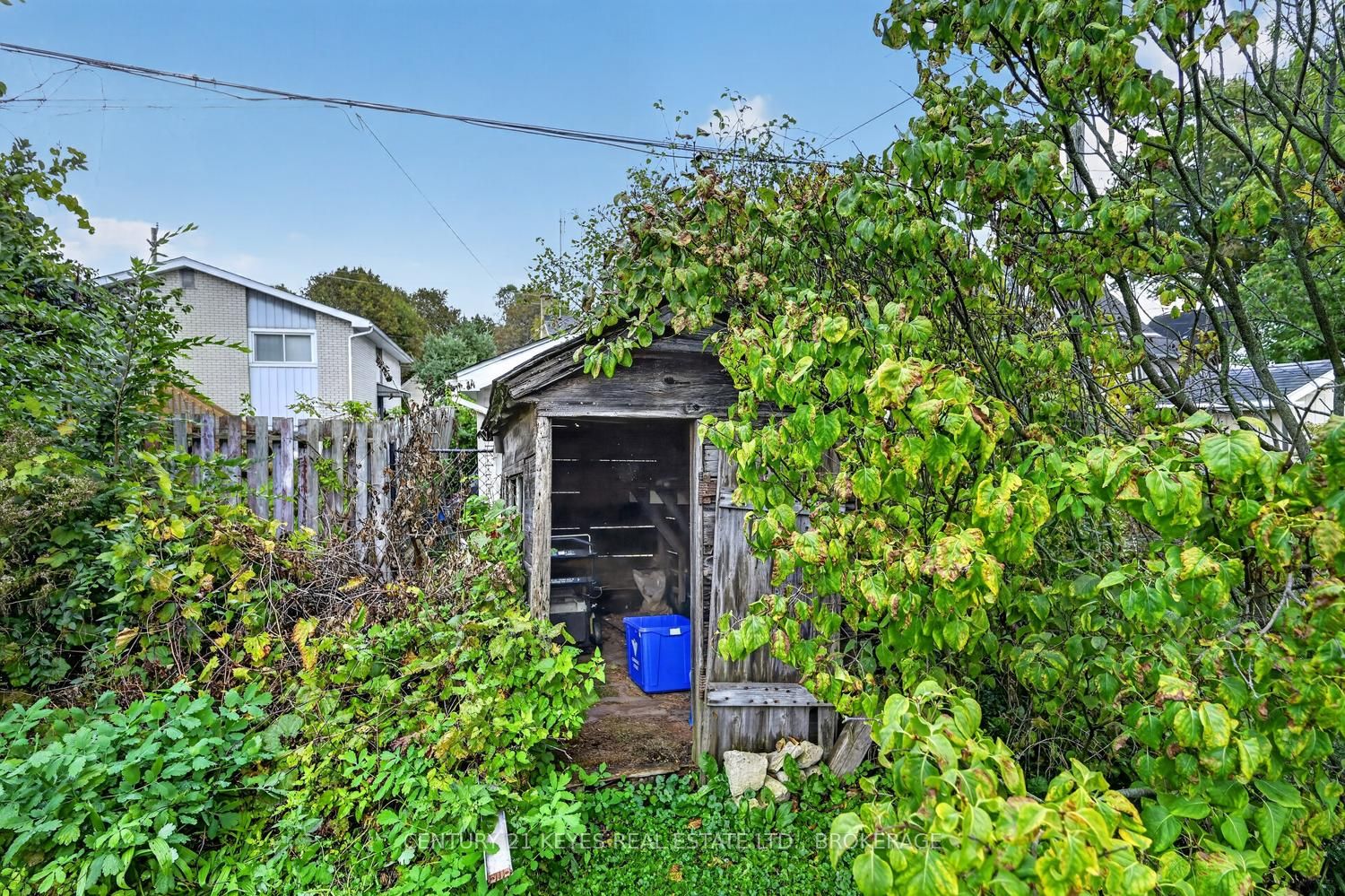 39 Amy Street Property Photo 29