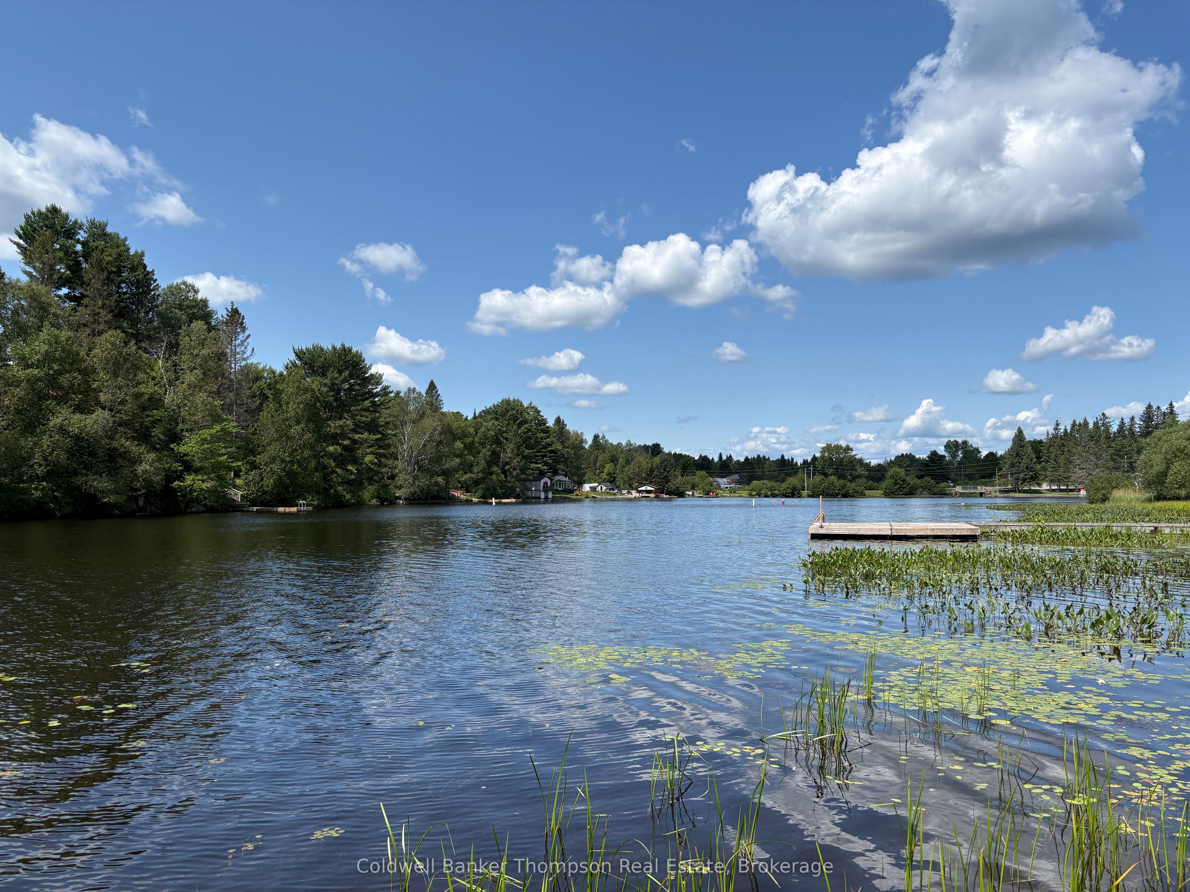 109 Patrick Street Property Photo 24