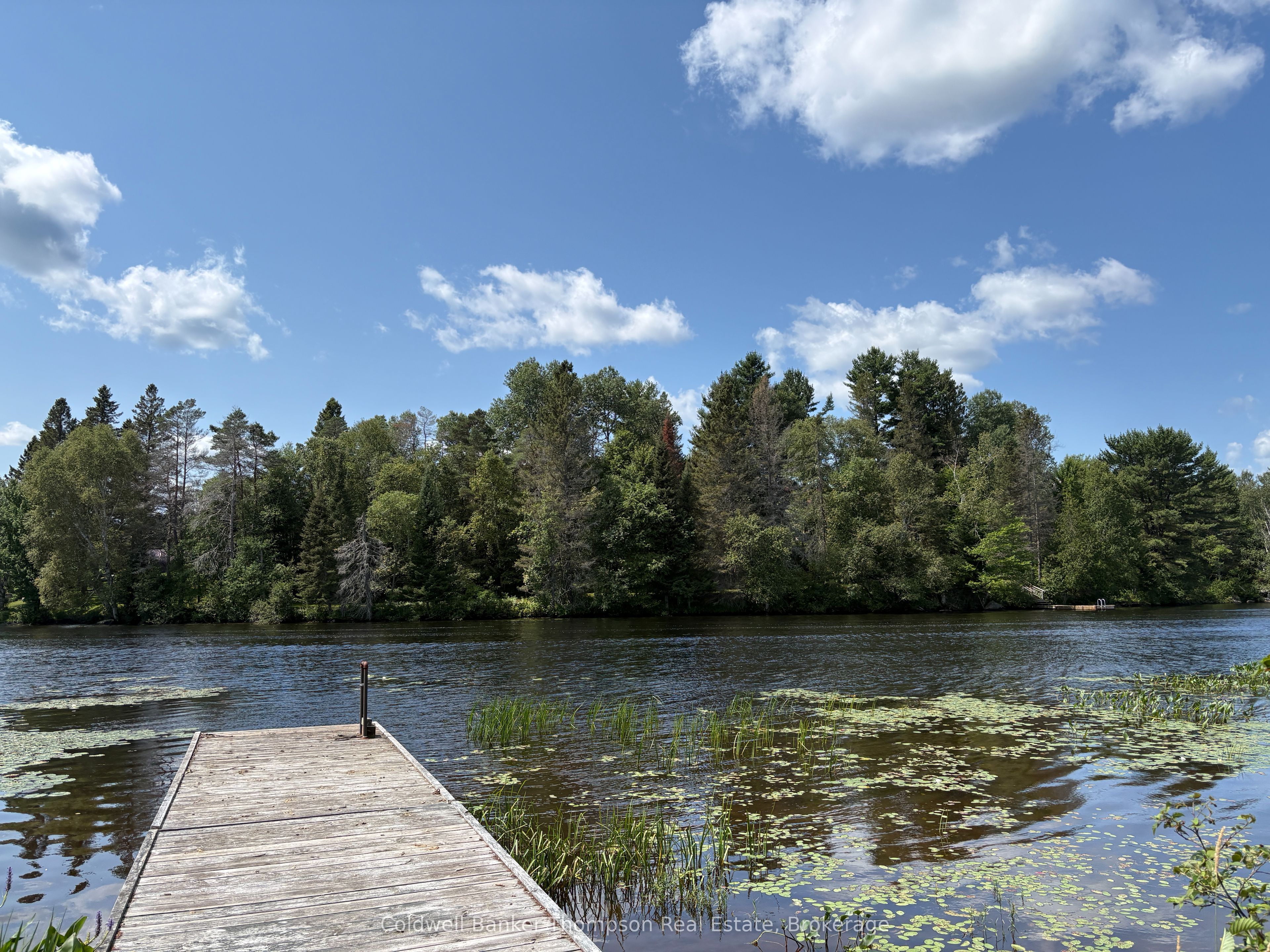 109 Patrick Street Property Photo 25