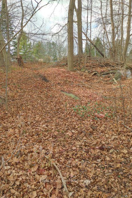 46420 Methodist Street Property Photo 11