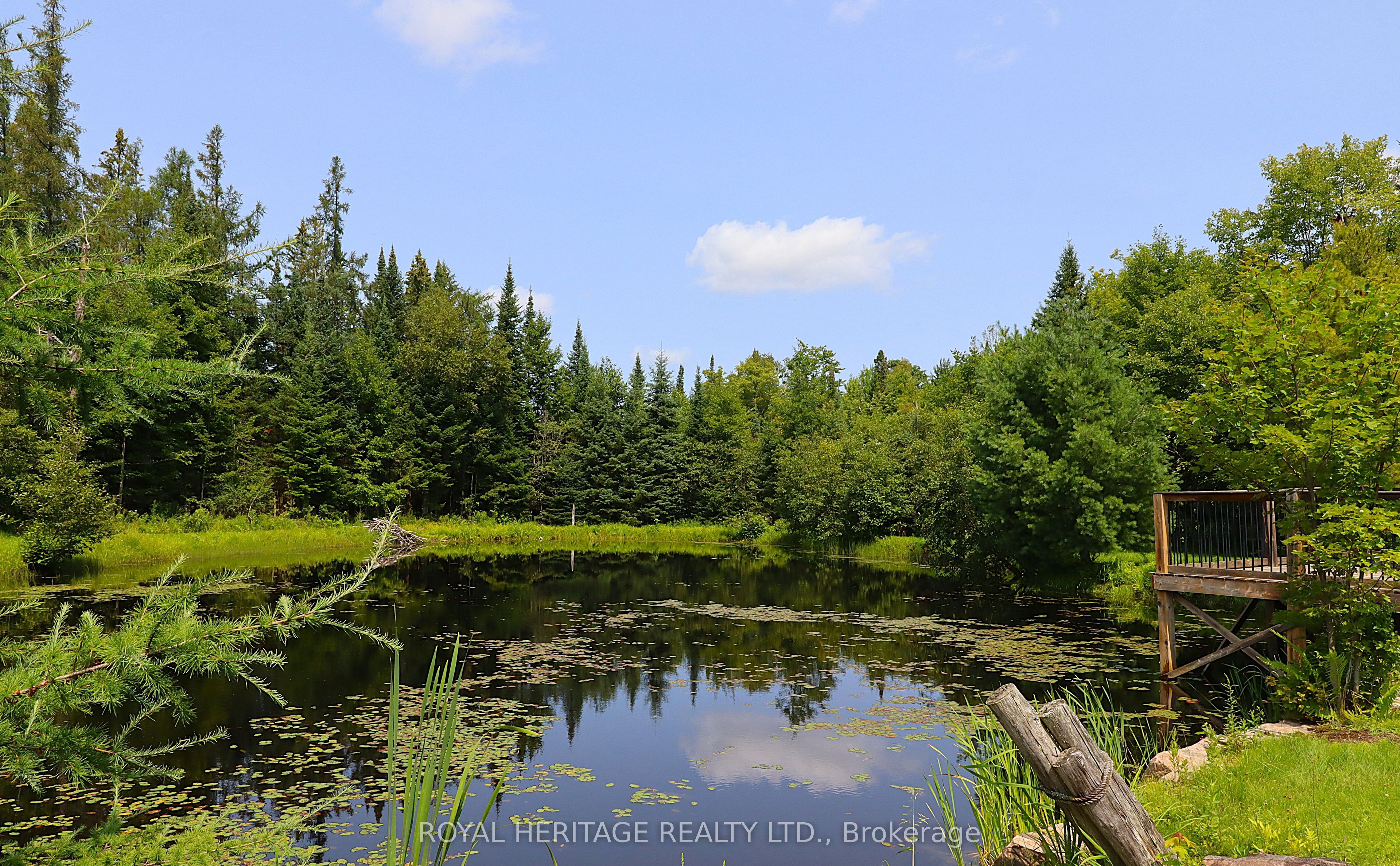 1118 Dutch Line Road E Property Photo 8