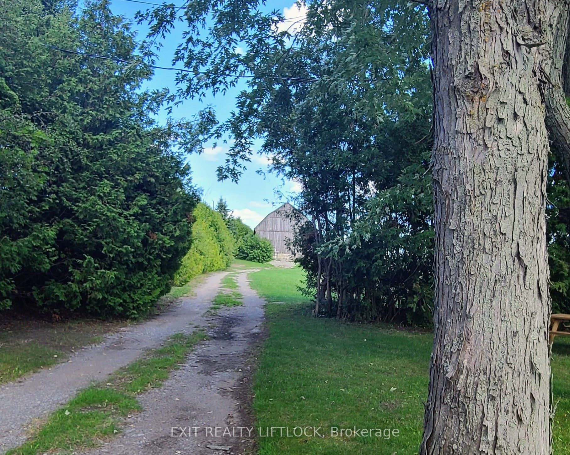 4922 Highway 7 Property Photo 29