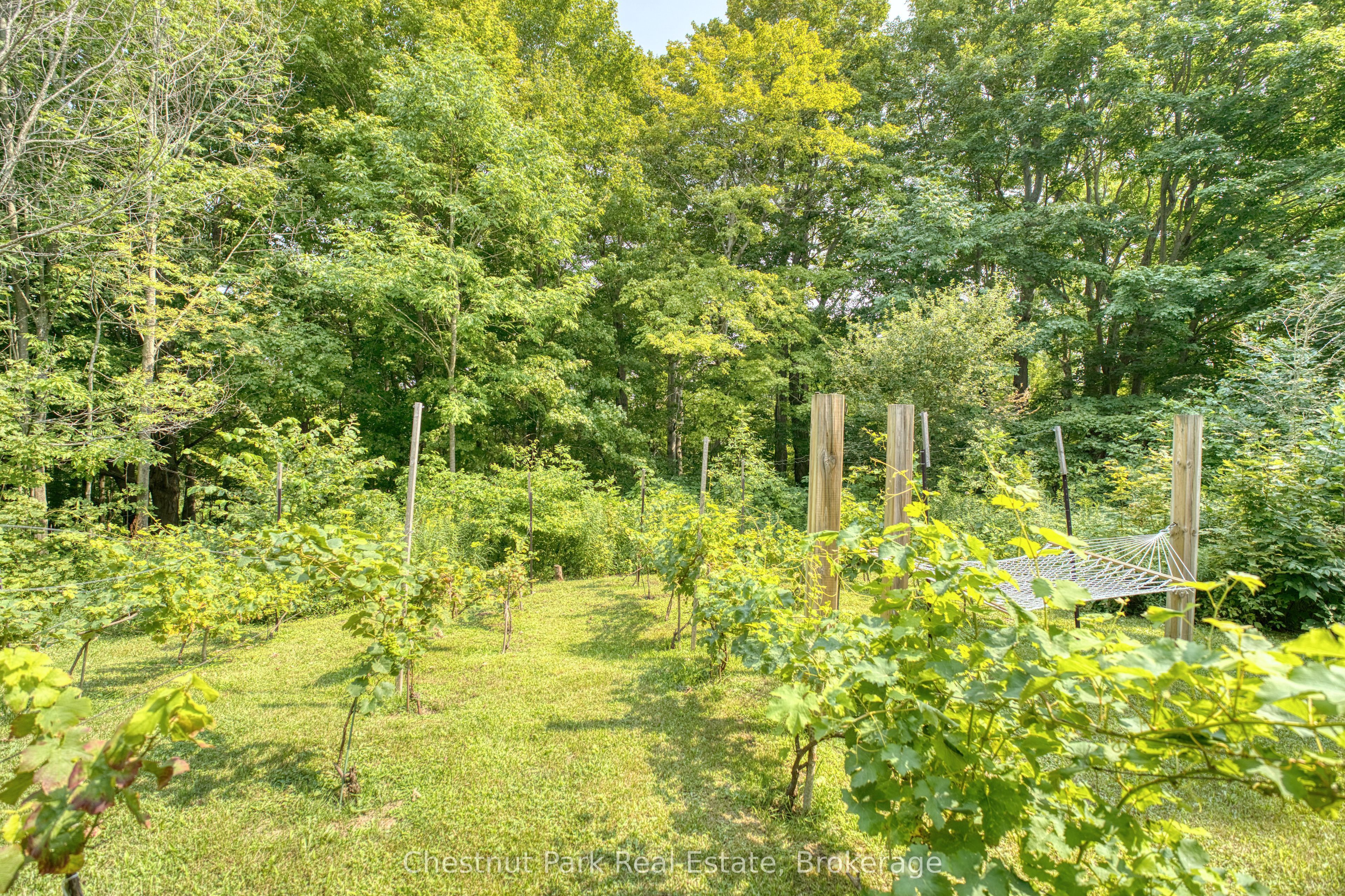 76 Everett Road Property Photo 34