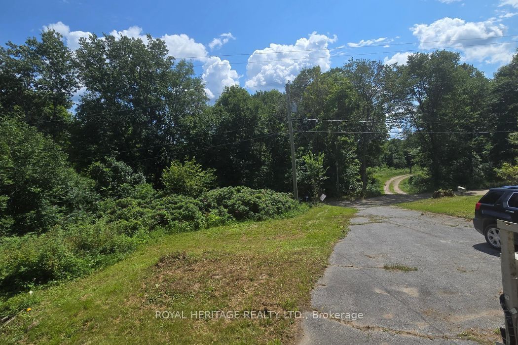 1590 Elm Tree Road Property Photo 3