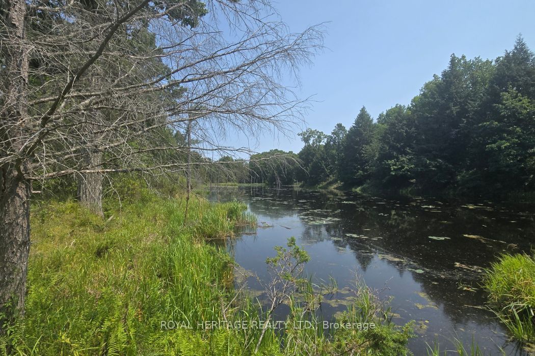 1590 Elm Tree Road Property Photo 12