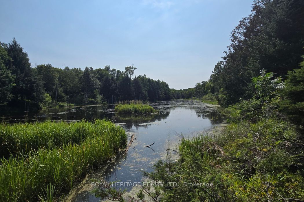 1590 Elm Tree Road Property Photo 13