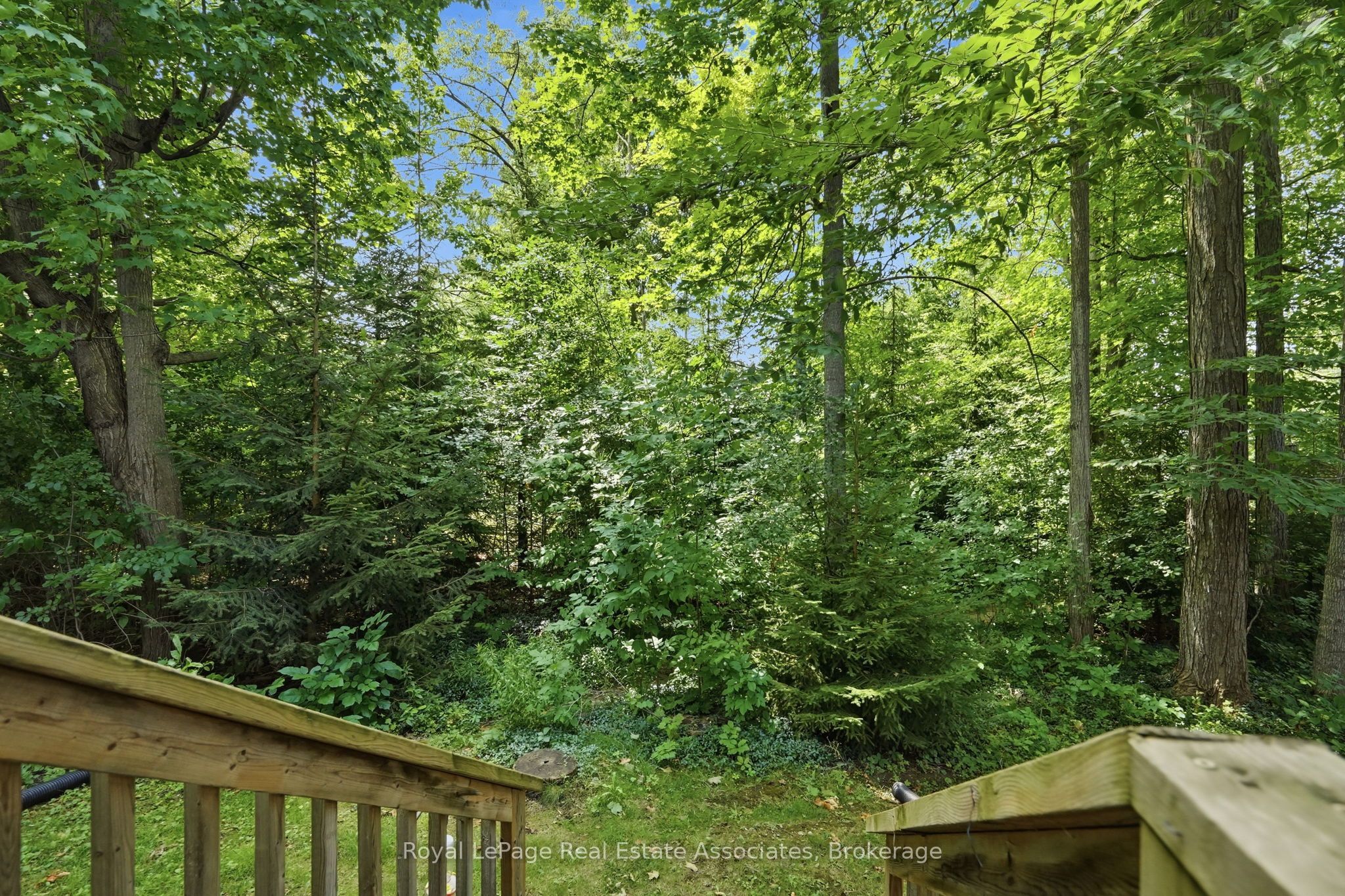 509 Quiet Place 1 Property Photo 43