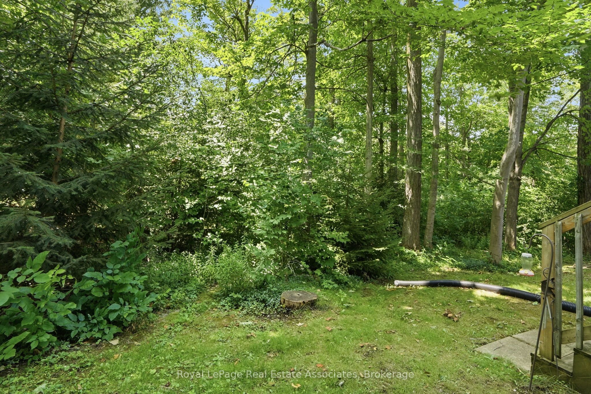 509 Quiet Place 1 Property Photo 44