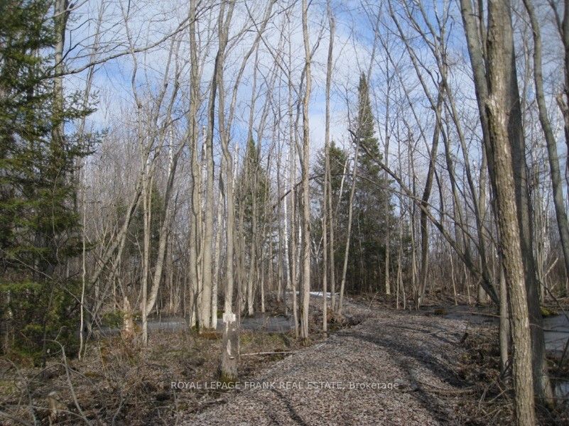0 Mervin Line Property Photo 11