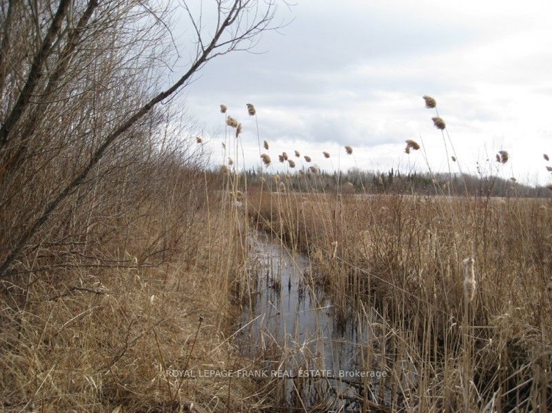 0 Mervin Line Property Photo 14