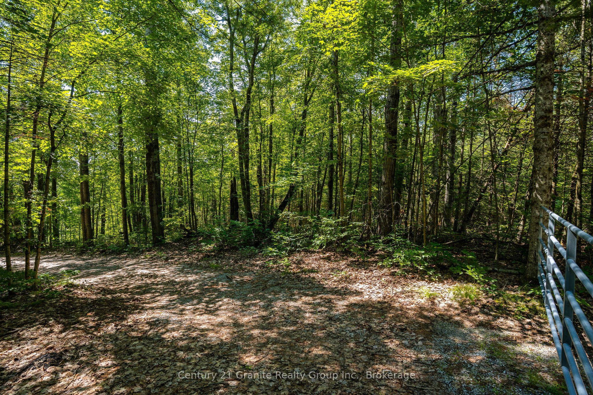 1037 Rotunda Drive Property Photo 10