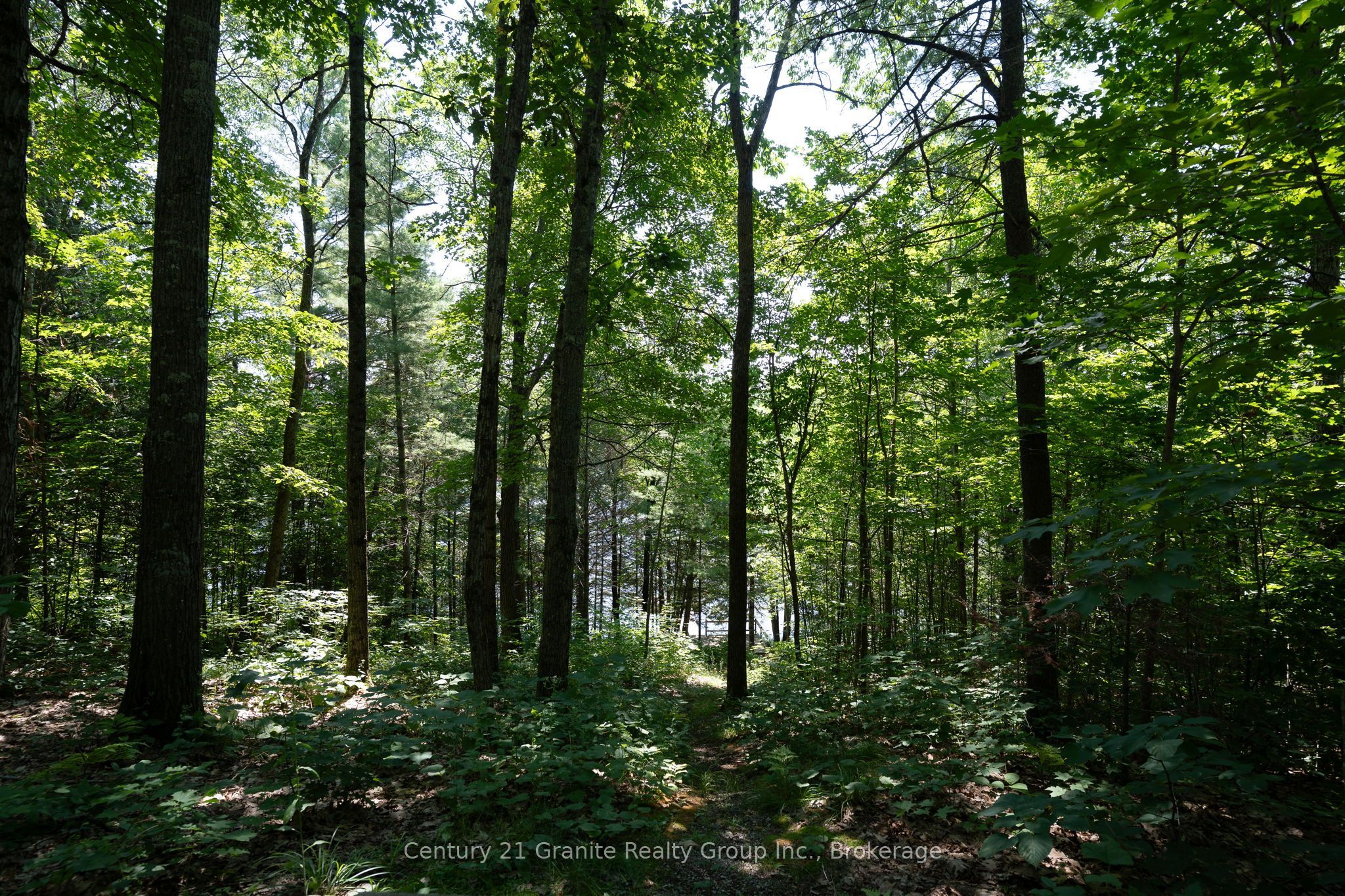 1037 Rotunda Drive Property Photo 11