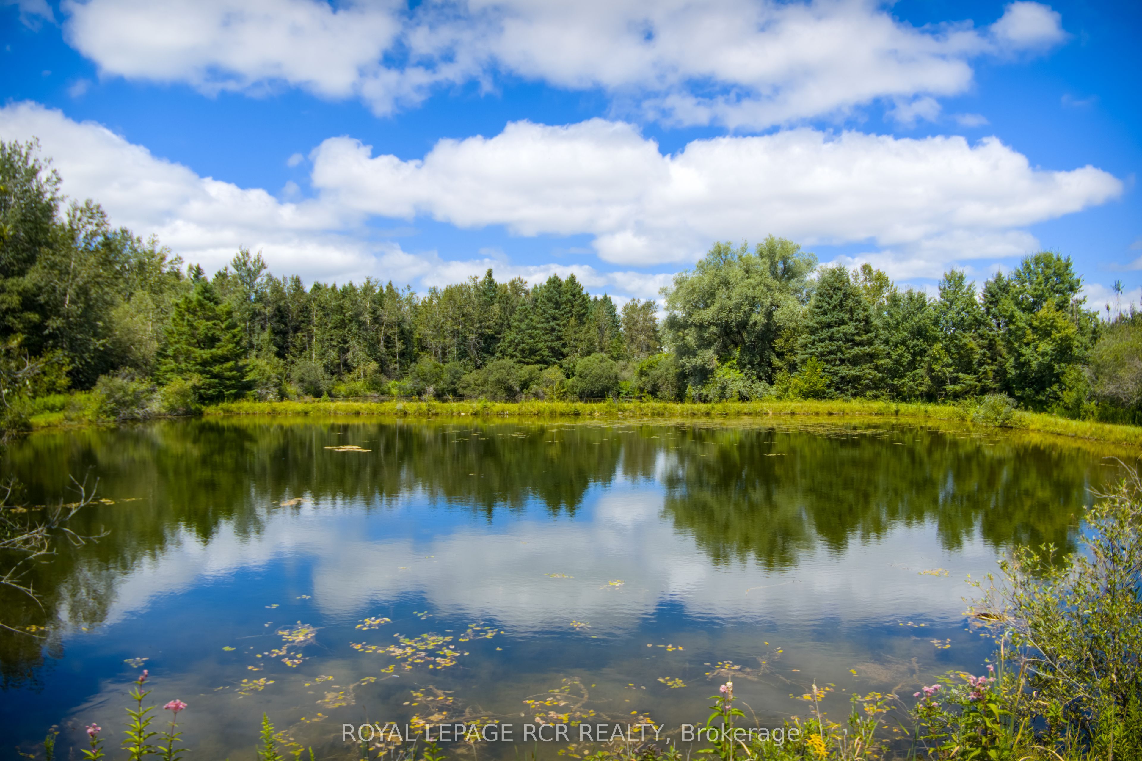 6066 4th Line Property Photo 6