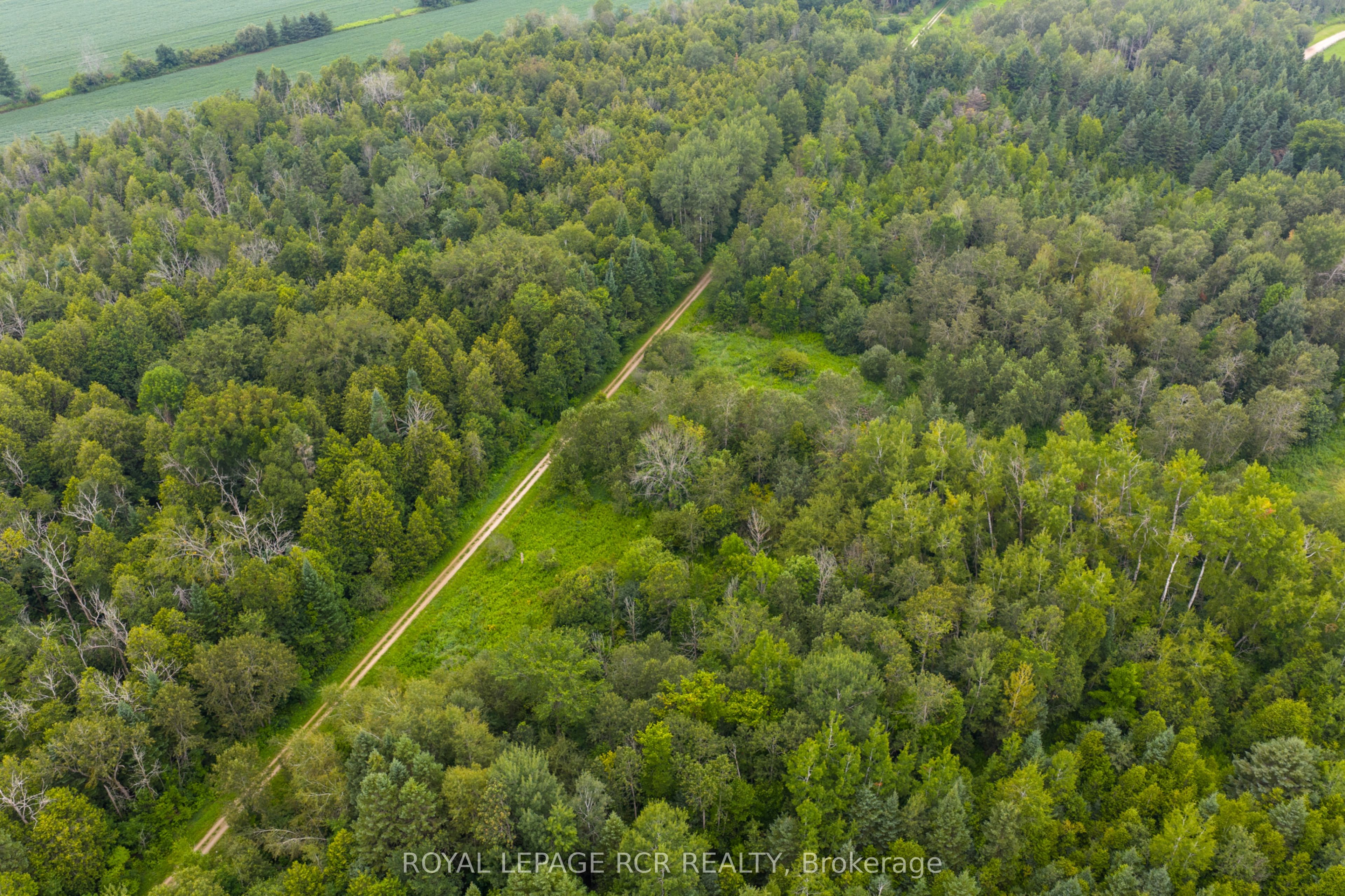 6066 4th Line Property Photo 12
