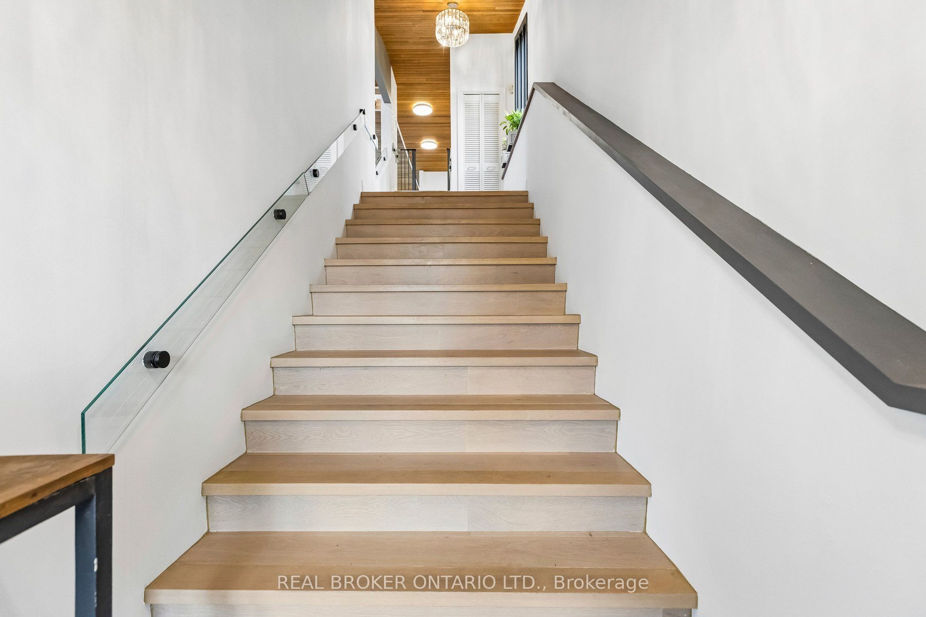 3 Chicopee Terrace Property Photo 6