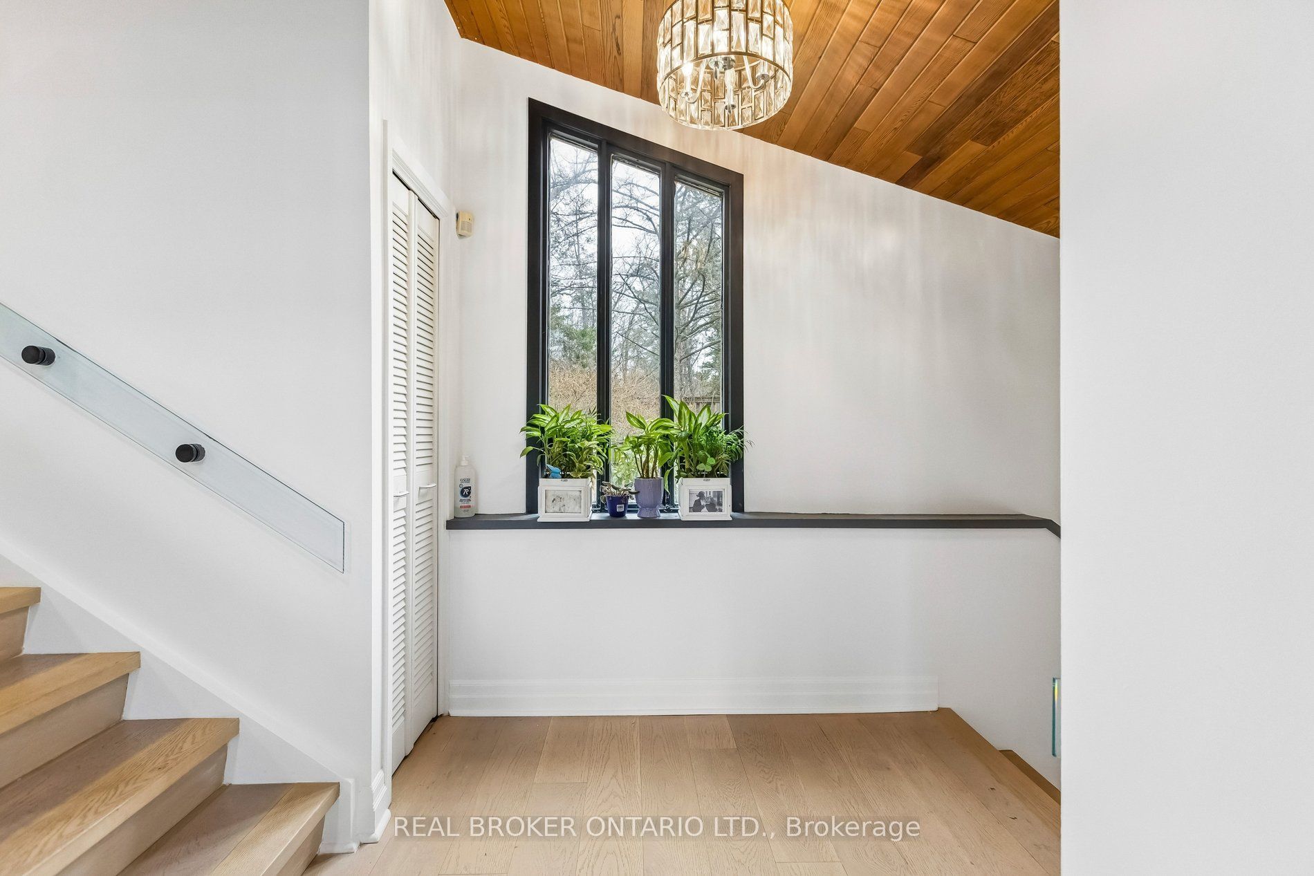 3 Chicopee Terrace Property Photo 8