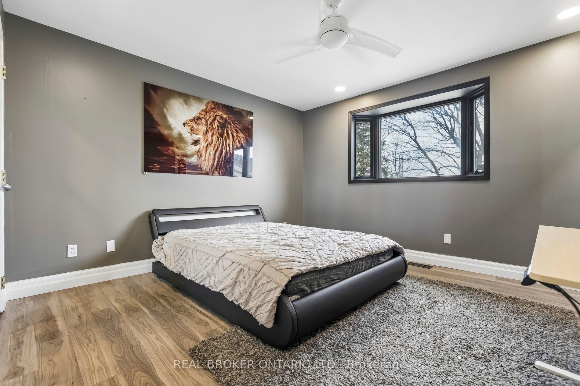 3 Chicopee Terrace Property Photo 26