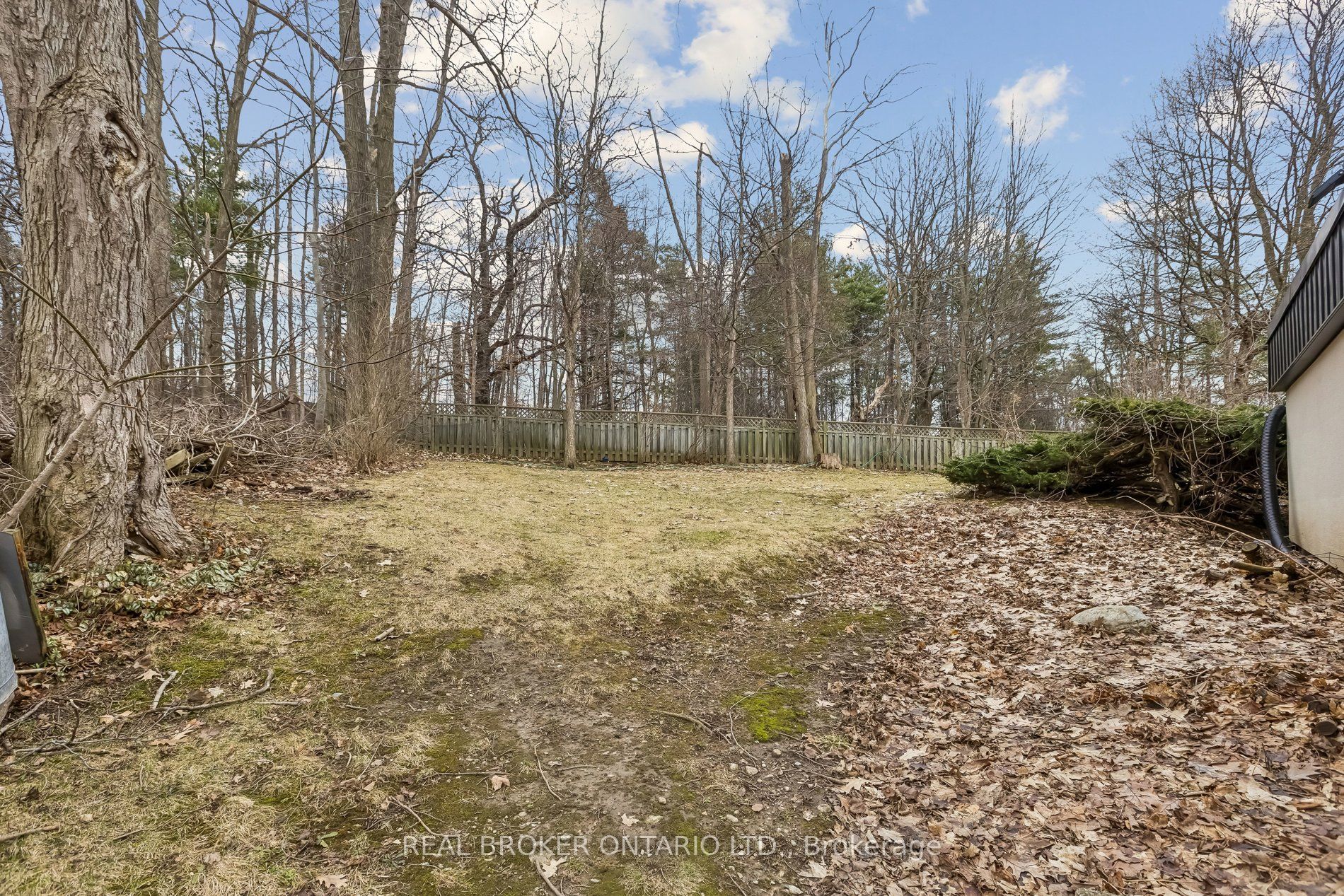 3 Chicopee Terrace Property Photo 49