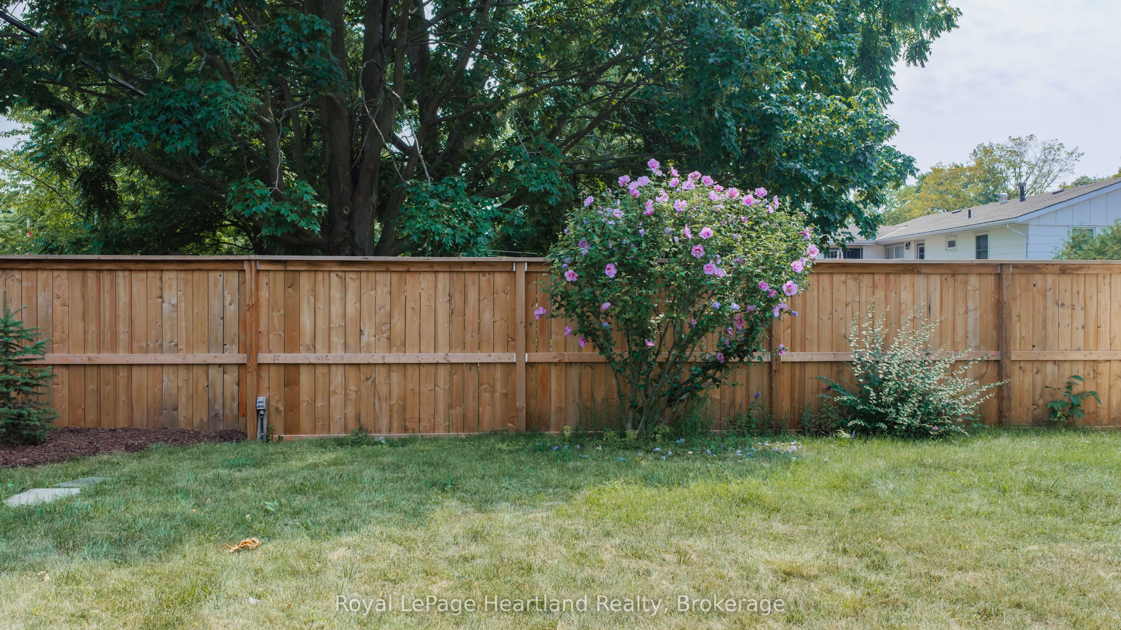 187 Cameron Street Property Photo 40