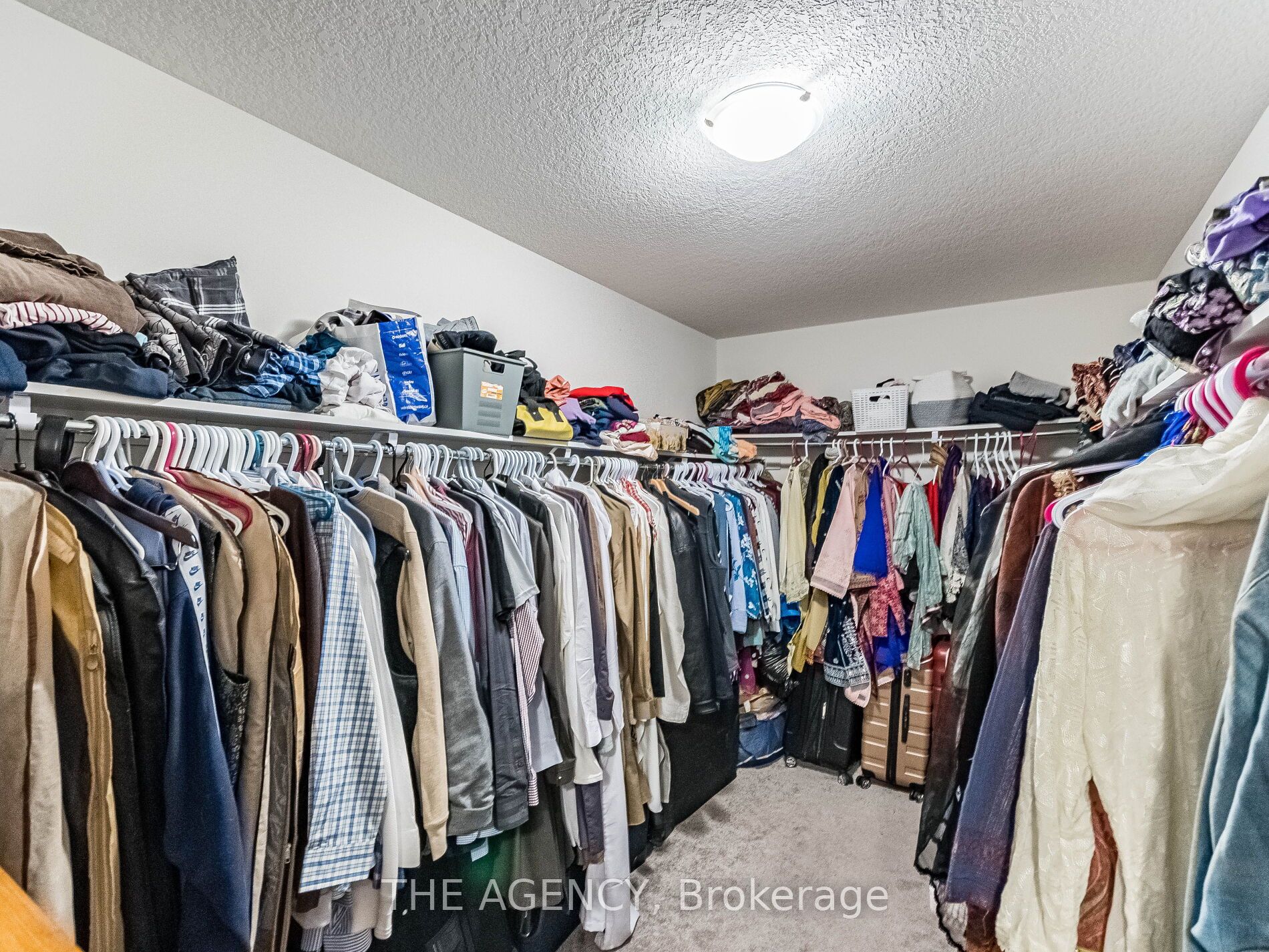 8779 Chickory Trail Property Photo 25