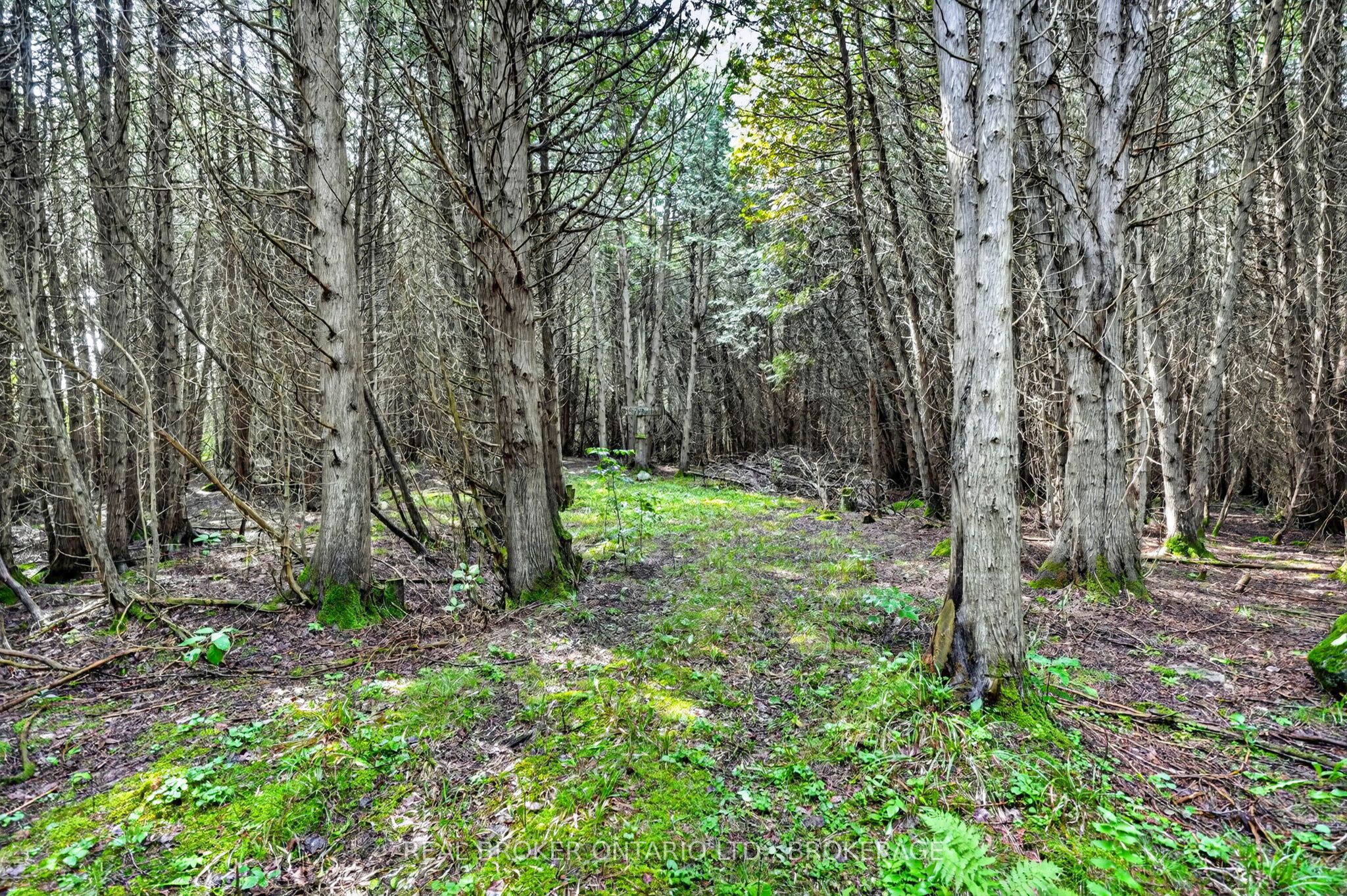18523 Kenyon Conc Rd 1 Road Property Photo 37
