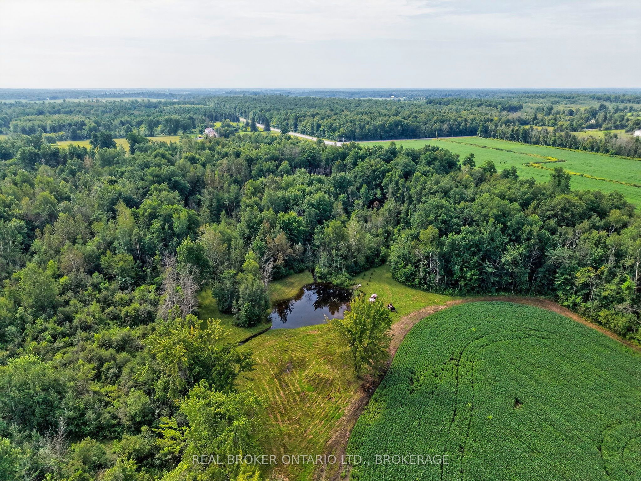18523 Kenyon Conc Rd 1 Road Property Photo 44